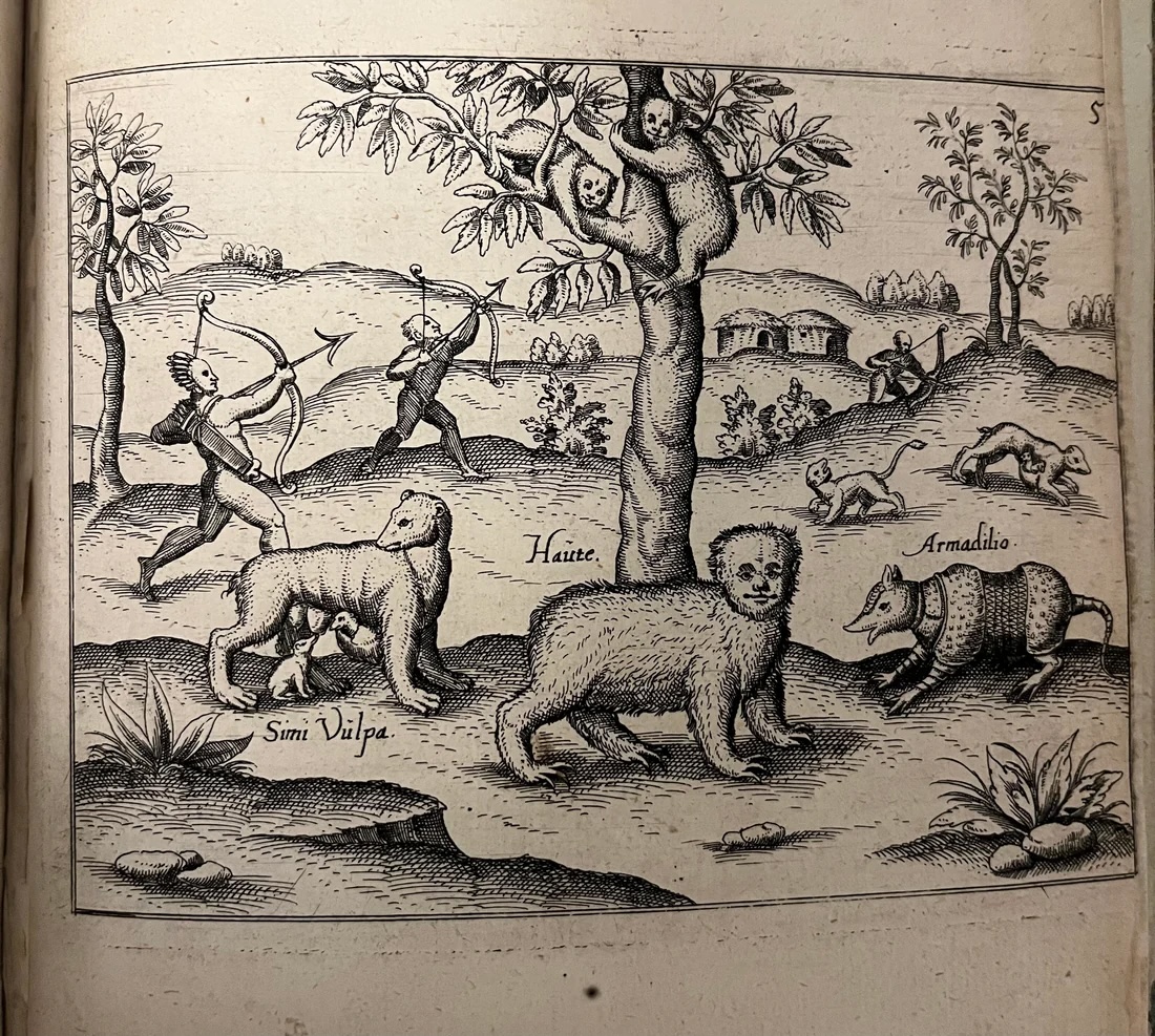 Rare with Map of Eldorado and South America – Walter Raleigh – Hulsius – 1599 – Brevis & admiranda descriptio regni Guianae, auri abundantissimi, in America