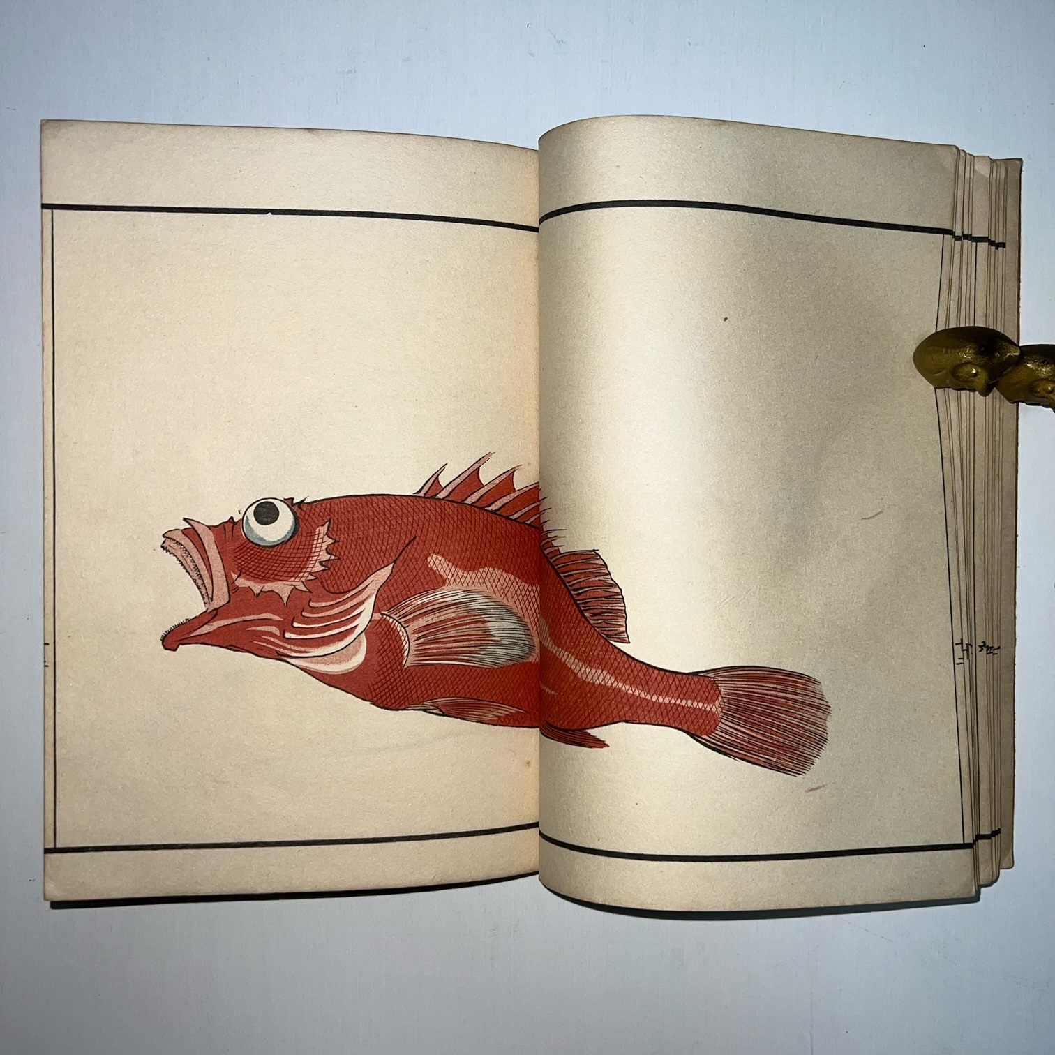 Woodblock Printed Book of Fish and other Sea Creatures