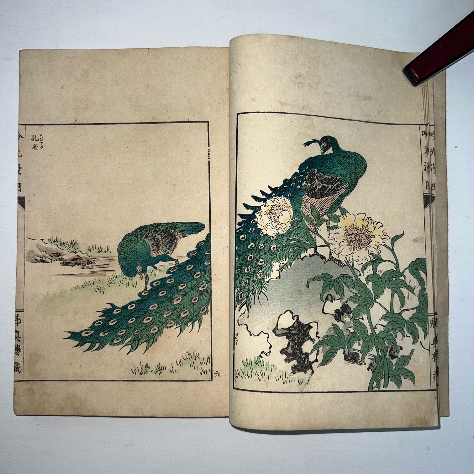Ginko Manga