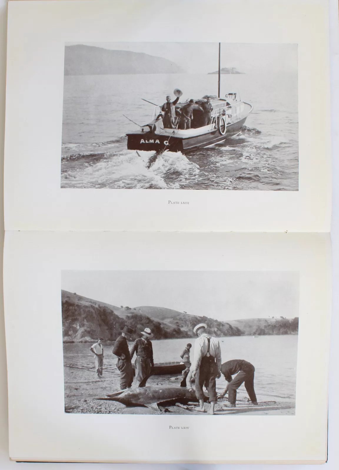 TALES OF THE ANGLER’S ELDORADO NEW ZEALAND