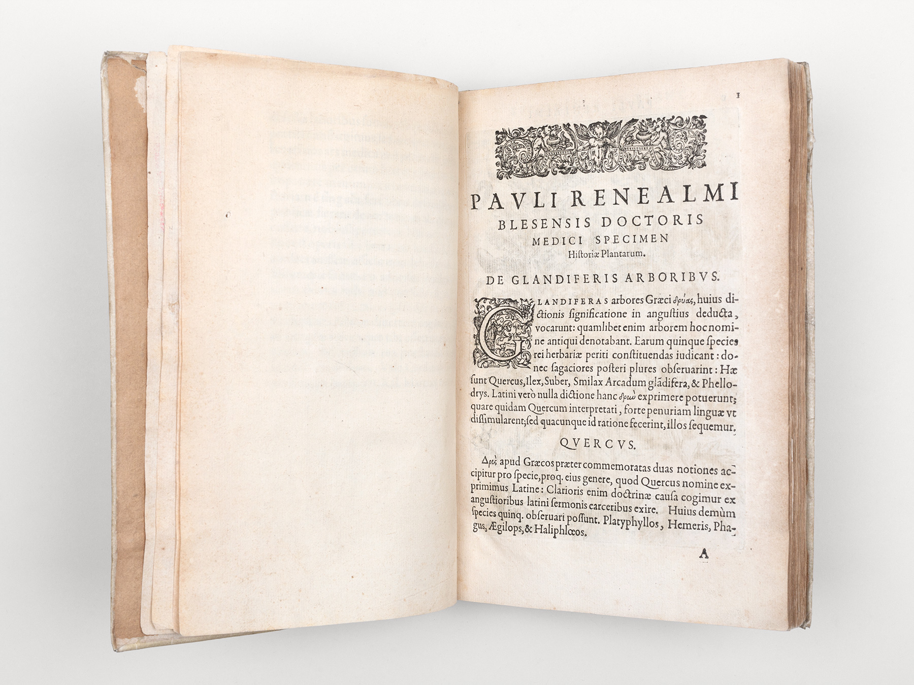 Reneaulme, PaulSpecimen historiae plantarum.Hadrianus Beys, Paris, 1611