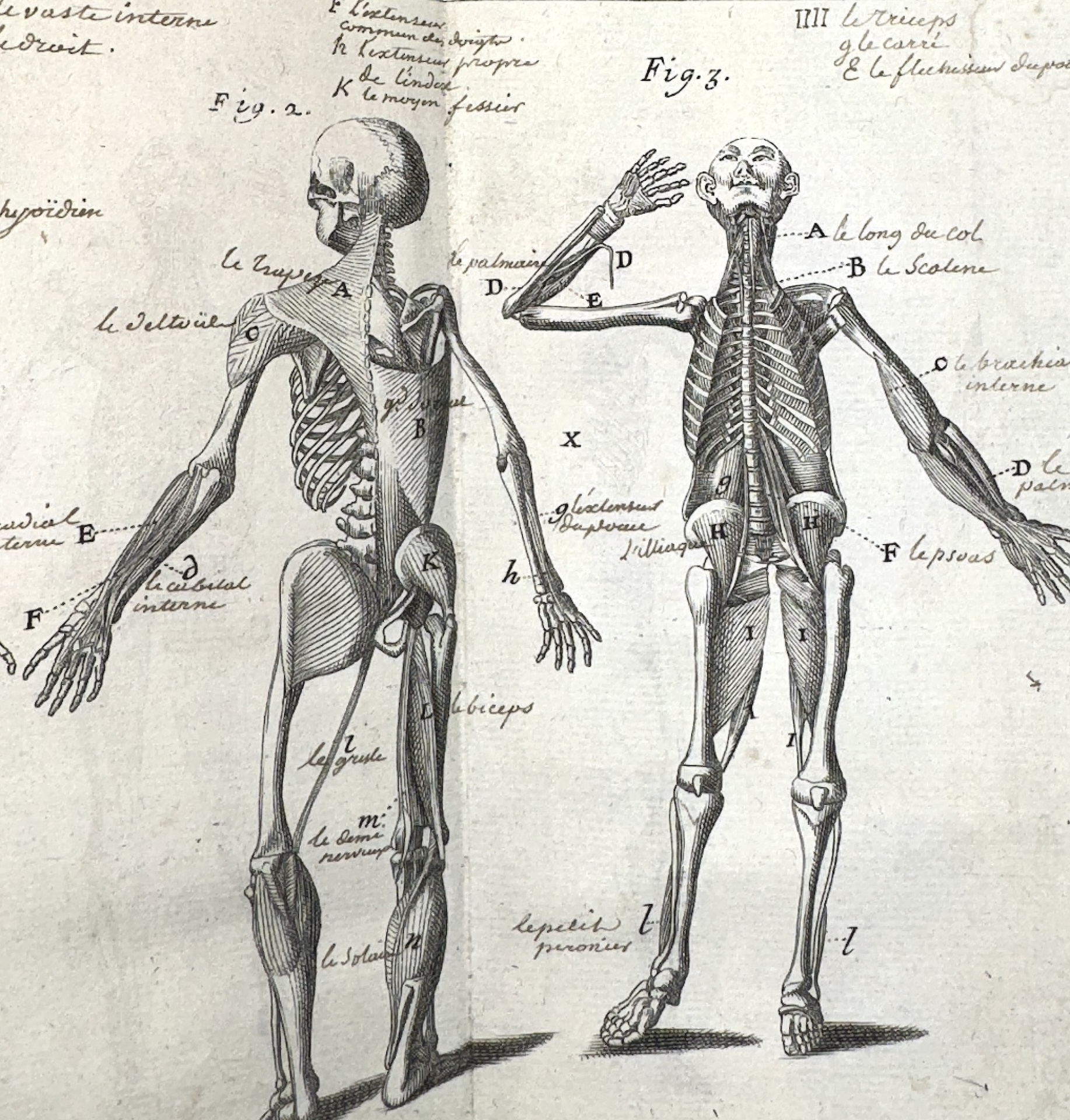 HEISTER, Lorenz L’Anatomie d’Heister avec des essais de physique sur l’usage des parties du corps humain Paris, Vincent, 1724.